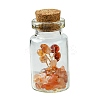 Transparent Glass Wishing Bottle Decoration AJEW-JD00011-05-1
