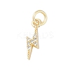 Rack Plating Brass Micro Pave Clear Cubic Zirconia Charms X-KK-Z060-14G-1