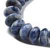 Natural Blue Spot Jasper Beads Strands G-P559-A15-02-4