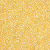 11/0 FGB Grade A Transparent Glass Seed Beads X-SEED-N001-E-302-2