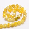 Dyed Natural Agate Faceted Round Beads Strands G-E320C-10mm-05-2