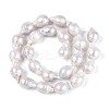 Baroque Natural Nucleated Pearl Keshi Pearl Beads Strands PEAR-S020-F08-01-2