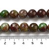 Natural Green Opal Beads Strands G-H045-A03-10MM-5