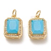 Brass Glass Charms LS-ZIRC-F116-09D-G-1