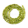 Natural Freshwater Shell Dyed Beads Strands SHEL-T020-29B-04-2
