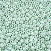 6/0 Glass Seed Beads SEED-N005-002A-F02-3