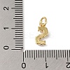Rack Plating Brass with ABS Plastic Imitation Pearl Charms KK-B092-30S-G-3