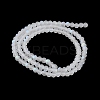 Transparent Glass Beads Strands X-EGLA-A044-T8mm-MB19-4