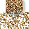 50G Natural Picture Jasper Chips G-YW0001-73-1