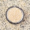 FGB 11/0 Grade A Glass Seed Beads SEED-S030-1012-3