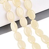 Dyed Natural White Jade Beads Strands G-N370-01A-17-1