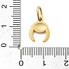 304 Stainless Steel Enamel Pendants STAS-L283-44G-4