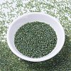 MIYUKI Delica Beads LS-X-SEED-J020-DB1247-2