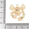 Brass Pendants KK-R219-19G-3