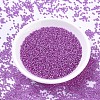MIYUKI Round Rocailles Beads X-SEED-G007-RR1339-2