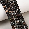 Natural Biotite Beads Strands G-L647-D05-4x6mm-1