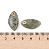 Natural Labradorite Pendants STAS-P380-80G-03-3