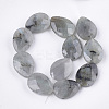 Natural Labradorite Beads Strands G-S354-07-2