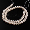 Natural Cultured Freshwater Pearl Beads Strands PEAR-E002-26-2