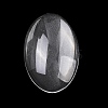 Transparent Oval Glass Cabochons X-GGLA-R022-30x20-4