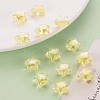 Transparent Acrylic Beads TACR-S152-02D-SS2105-6