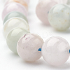 Natural Morganite Beads Strands G-S279-07-10mm-3