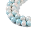 Baking Paint Glass Bead Strands LS-GLAA-H031-01B-10-2