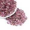 Picasso Transparent Glass Beads SEED-Q039-04M-1