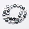 Shell Pearl Beads Strands BSHE-F001-01-3