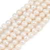 Natural Cultured Freshwater Pearl Beads Strands PEAR-I007-07J-09A-2