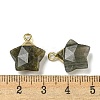Natural Labradorite Pendants G-P540-01G-06-3