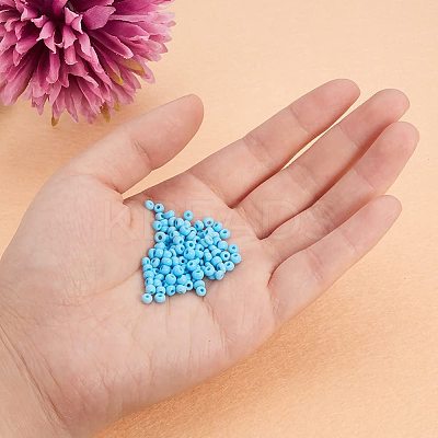 8/0 Round Glass Seed Beads SEED-PH0005-05-1
