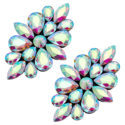 2Pcs Flower Glass Rhinestone Costume Accessories FIND-FG0004-81C-1