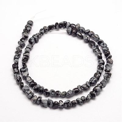 Natural Snowflake Obsidian Beads Strands G-F465-11-1