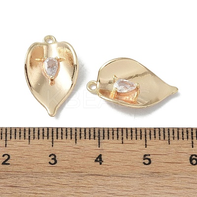 Brass Cubic Zirconia Pendants KK-H482-12G-03-1