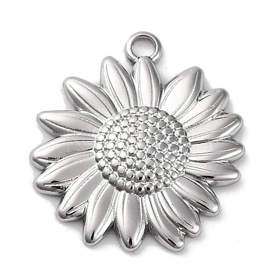 Anti-Tarnish 304 Stainless Steel Pendants STAS-K293-06P-1