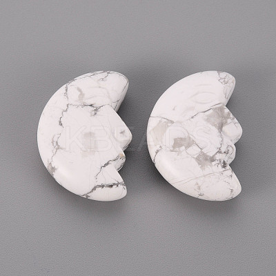 Natural Howlite Beads G-T132-028-1