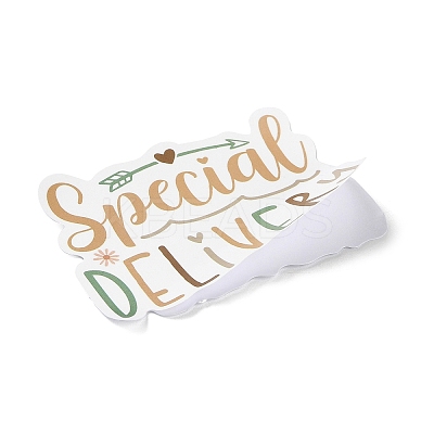 50Pcs PVC Self-Adhesive Stickers STIC-M001-06-1