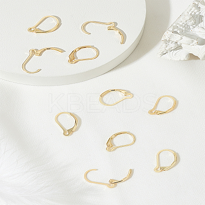 10Pcs Brass Hoop Earring Findings DIY-LP0001-99G-1