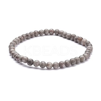 4.5mm Round Natural Maifanite/Maifan Stone Beads Stretch Bracelet BJEW-JB07088-04-1
