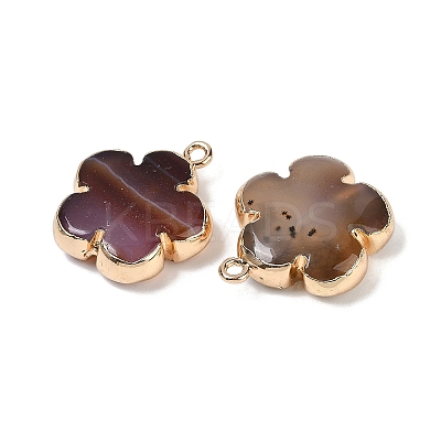 Natural Red Agate Pendants G-P566-01G-02-1