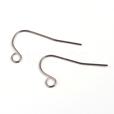 Tarnish Resistant 304 Stainless Steel Earring Hook Findings STAS-M240-01-1