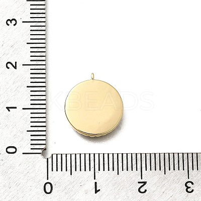 Brass Micro Pave Cubic Zirconia and Acrylic Charms LS-KK-Q035-02G-1