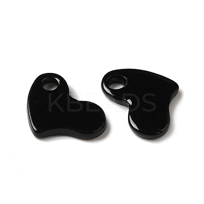 Spray Painted 201 Stainless Steel Charms LS-STAS-I672-13A-1