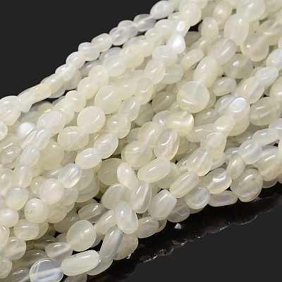 Natural White Moonstone Nuggets Beads Strands X-G-J335-45-1