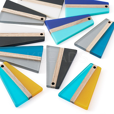 10Pcs 5 Colors Resin & Wood Pendants RESI-TA0004-50-1