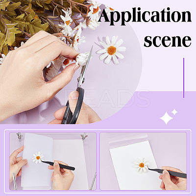 Square Transparent Acrylic Flower Press Plates DIY-BC0012-68-1