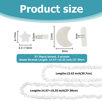 3 Strands 2 Styles Natural Freshwater Shell Beads Strands SHEL-HS0001-10-1