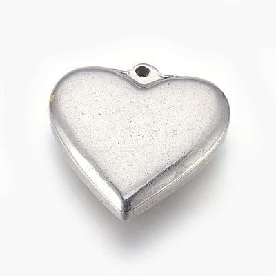 Tarnish Resistant 304 Stainless Steel Pendants STAS-L212-040C-1