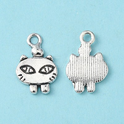 Tibetan Style Alloy Pendants EDD035Y-NF-1